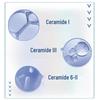 CeraVe Ceramid-Barriere-Reparatur Feuchtigkeitscreme