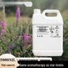 Aroma Essential Oil Diffuser: Commercial Fragrance Machine with 5L Refill for Hotels and Clubs