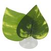 5Pcs Betta Fish Leaf Pad Aquarium Simulation Leaf Ornament Betta Fish Feeder Spawning Rest Leaf Set