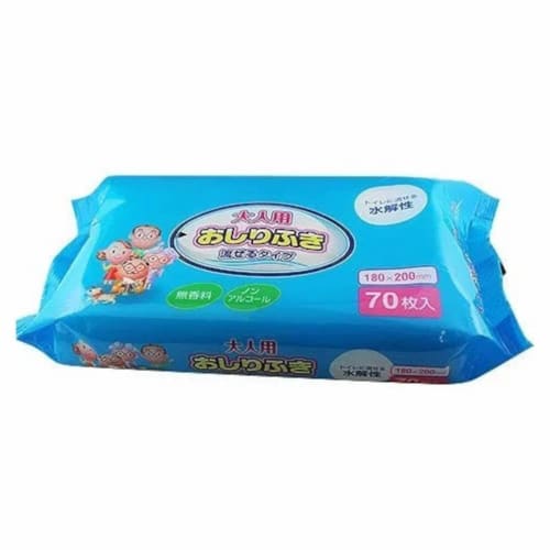 Daiichi Paper Co., Ltd. Flushable Baby Wipes for Adults, 70 Count