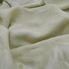 Used LOUIS VUITTON light green silk scarf