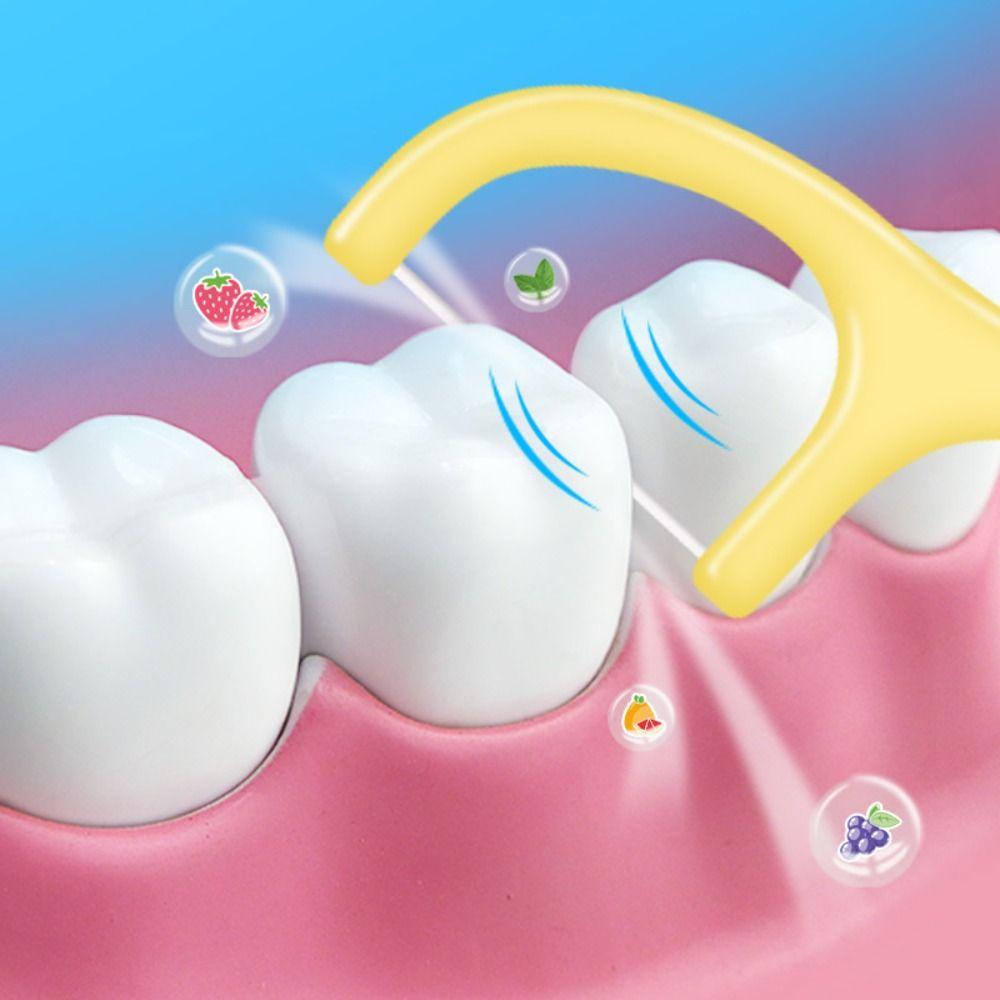 Portable Dental Floss Stick 50 Sticks/Box Teeth Cleaning Tool Fruit Flavored Floss  Oral Care