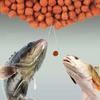 Miros de vierme Momeală de crap Pescuit real Miros de hrană Boilies Mărgele Momeală Atletică Momeală sălbatică Momeală de pescuit Momeală de pescuit Momeală neagră