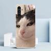 Pet Cat Funny Memes Cover for Samsung Galaxy A17 A37 A57 A16 A26 A36 A56 A15 A14 A55 Phone Case A13 A53 A25 A35 A24 A34 A23 A33