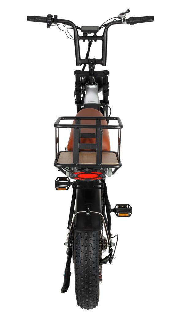 BAOLUJIE DP2033 All-Terrain Erwachsenen Elektrofahrrad 20*4.0 Zoll Fat Tires 1000W Dualmotor 48V 12Ah Dualbatterie E-Mountainbike Mit Scheibenbremse