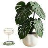 Heat Resistant Non Slip Coasters, 1D Printed Monstera L Eaf Mats, Durable Table Protector Pad for Coffee Bar, Living Room & Desk