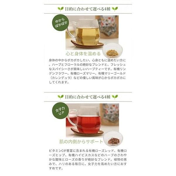 WJB Organic Herbal Tea SK 2g10 packs supports from within skin.
