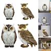 Elegant Owl Sculpture for Home and Office Decor