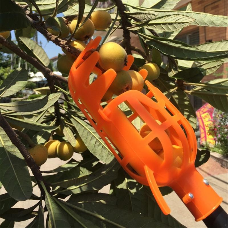 Fruit Pickers Tool Apples Fruit Tree Pickers Tool Plastic Fruit Grabber Reacher China Mainland