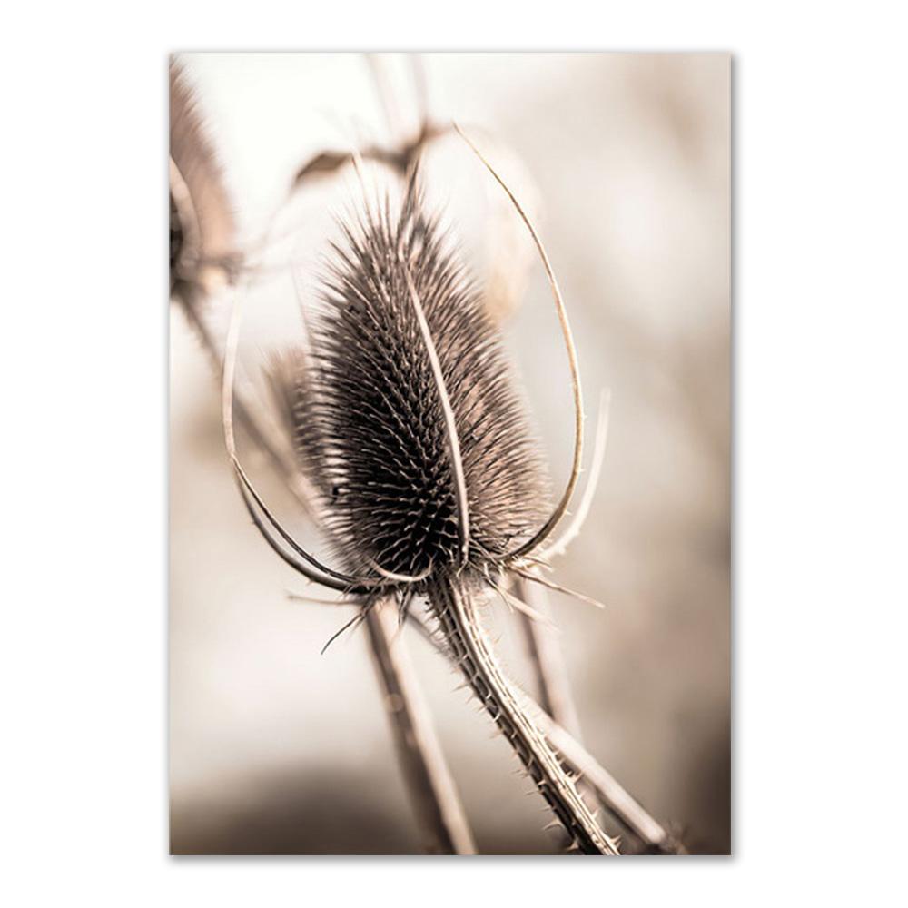Beige Grass Reed Dandelion Boho Wall Art Canvas Painting Nordic Posters And Prints Nature Wall Pictures For Living Room Decor