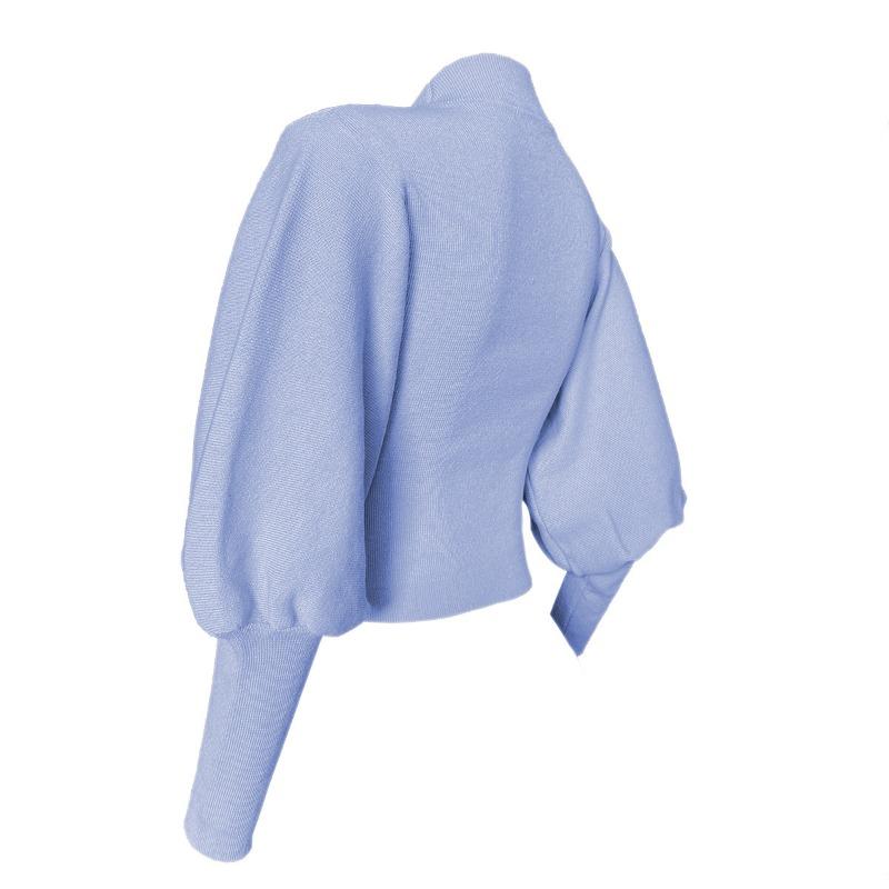 Autumn and Winter Women's Net Color Knitted Lantern Sleeve Long Sleeve Pullover Turtleneck Wool Sweater