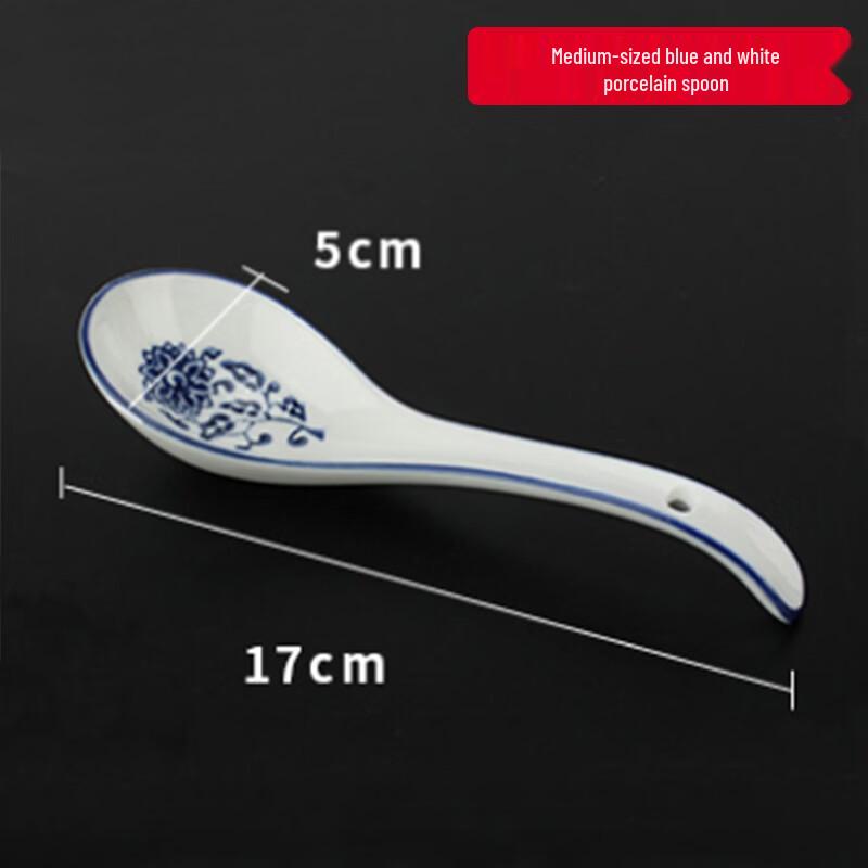ZISIZ Blue and White Porcelain Spoon