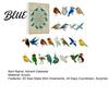 Educational Bird Collection for Science Enthusiasts Sea Glass Advent Calendars 2026 24 Days Christmas Countdown Calendar with Festive Box Surprises