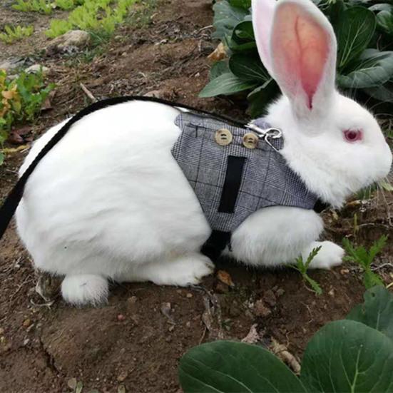 Rabbit Harness Gentleman Fabric Pet Vest Design Leashes Walking Safety Chest Strap