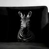 Zebra Cushion Cover Pillowcase Ultra Soft Skin Friendly Fabric Cloud Like Comfort & Concealed Zipper