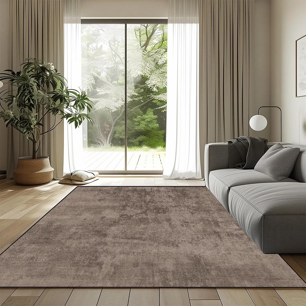 Nordic Eenvoudige Woonkamer Vloerkleed Modern Effen Kleur Sofa Groot Oppervlak Pluizig Tapijt Huis Slaapkamer Decor Vloerkleden Antislip Kamer Zachte Mat 80*160cm