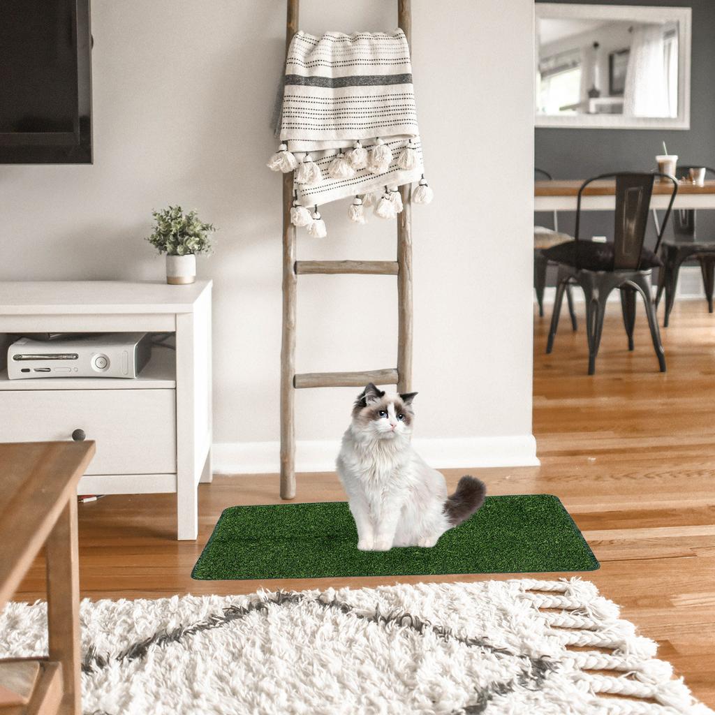 Delicate Pet Pee Mat with Realistic Grass Texture Supple Water Absorbing Pe Tpr Material for Car Room Home Use Dog Supply