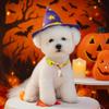 2025 autumn and winter halloween pet new accessories collar cute puppy kitten supplies pumpkin collar