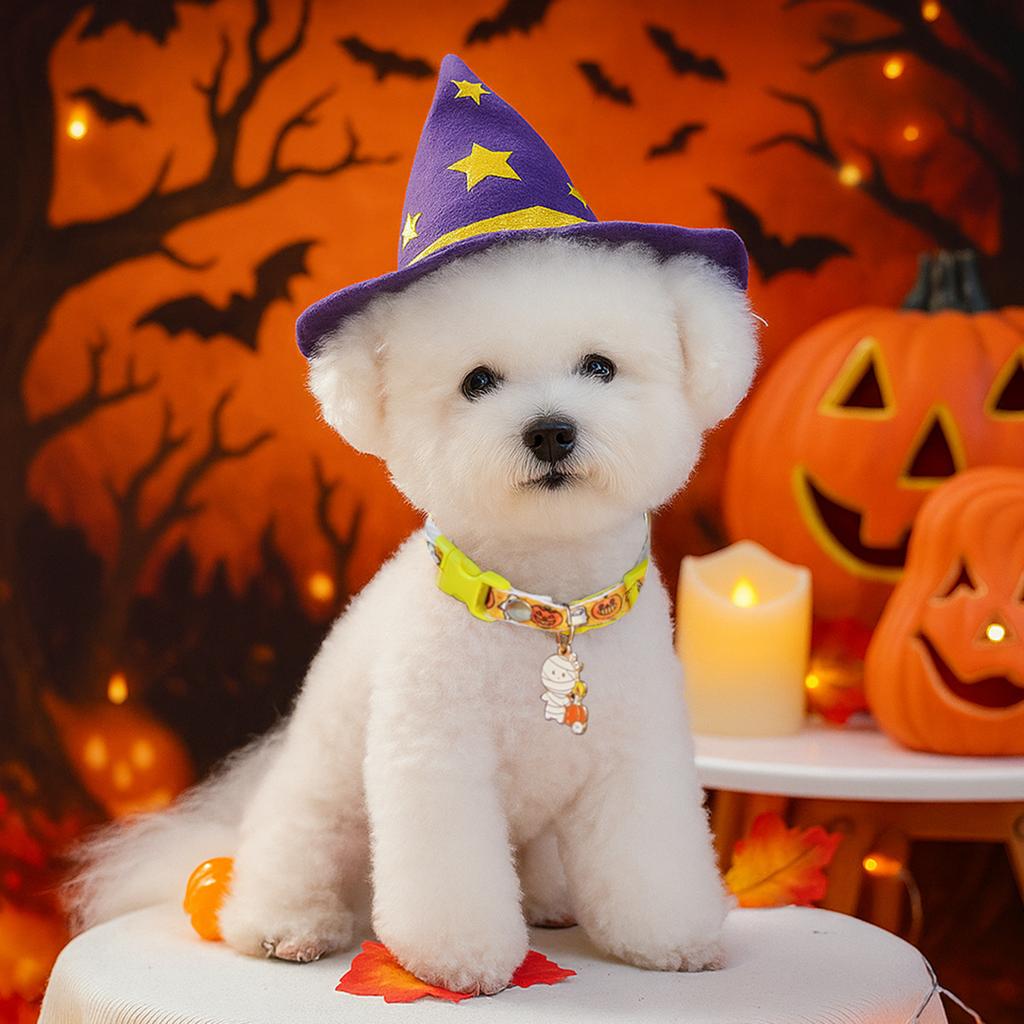 2025 autumn and winter halloween pet new accessories collar cute puppy kitten supplies pumpkin collar