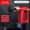 Shangheng Multifunctional Percussive Massage Gun CN Plug (adapter Included)