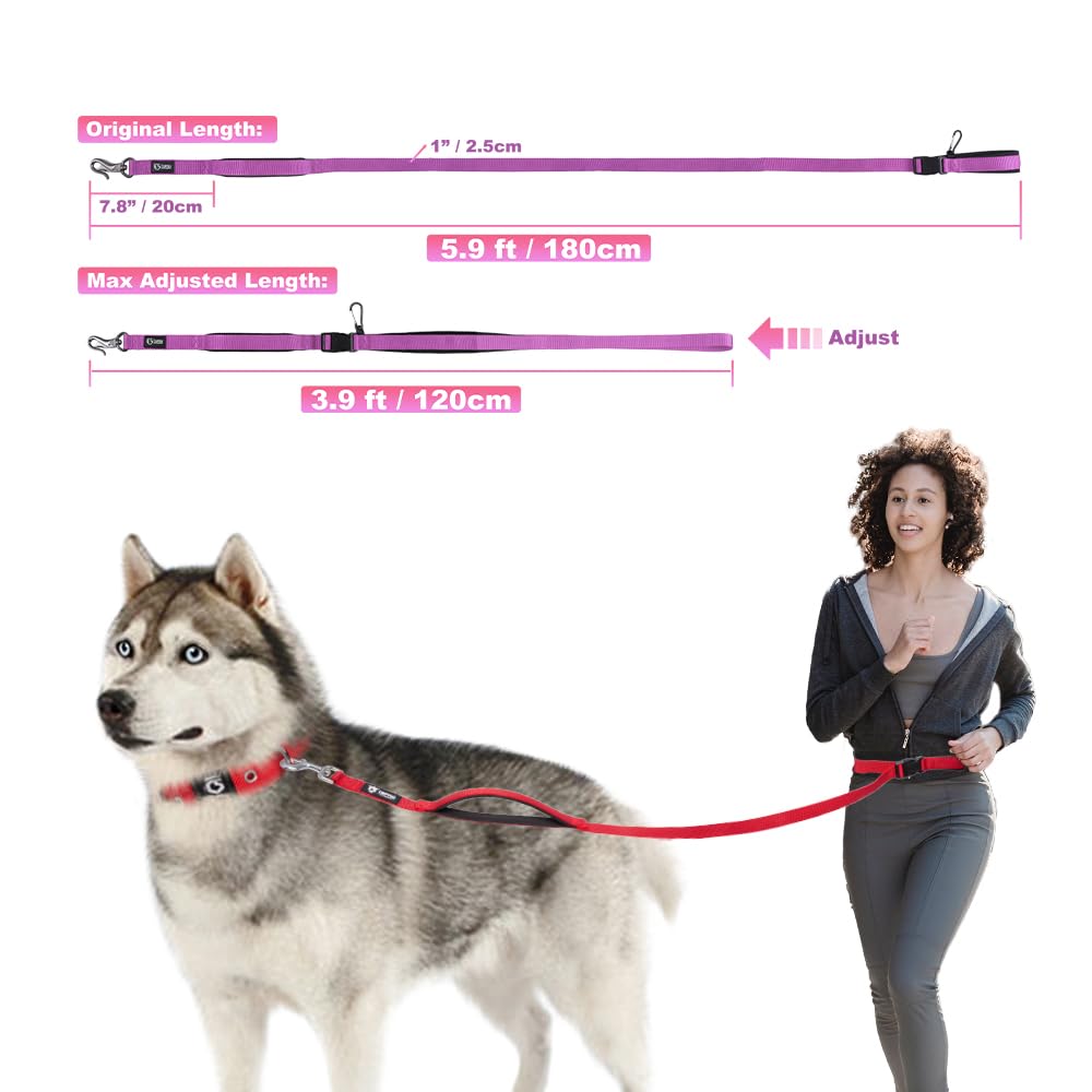 TSPRO Dog Adjustable Lead with Safety Control Pad Handle and Heavy Clasp for Medium To Large Dogs Hands-Free Leash, Walking/Running (Tactical Green,