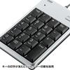 Sanwa Supply USB 2.0 Hub with Numeric Keypad, Silver, NT-16UH2SVN