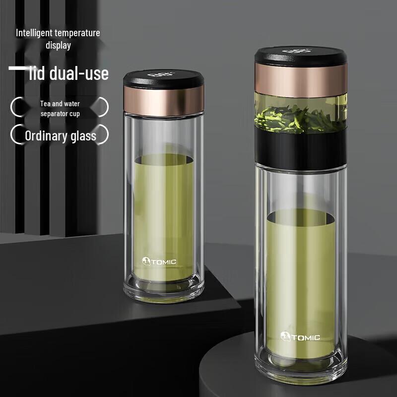 Temeike Double-Layer Glass Tea Infuser Cup
