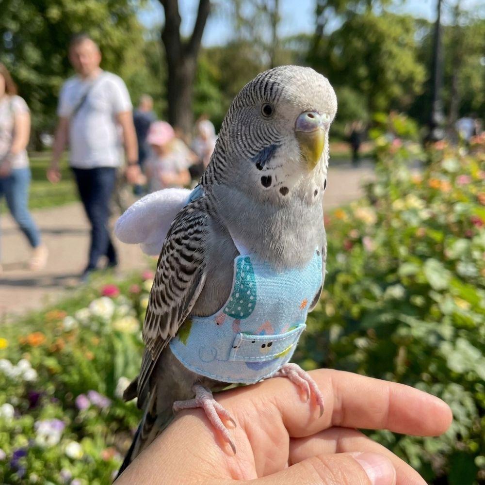 Adjustable Bird Flight Suit Breathable Anti-Bite Parrot Flying Harness Sun Protection Escape Proof Bird Flying Clothes