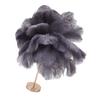 Ostrich Feather Table Lamp Rechargeable Modern Romantic Decoration Lamp Bedroom Bedside Lamp for
