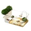 Transparent Turtle Terrarium Turtle Tank Decorative Small Crab Feeding Basking Habitat for Nature Educators Tortoise Terrapin