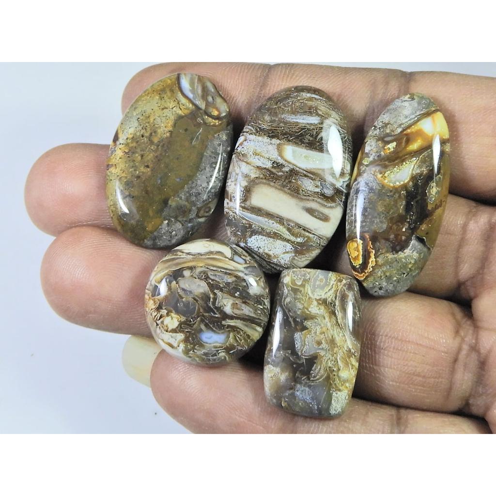 124Cts. Natural Stick Agate Mix Cabochon Loose Gemstone 5Pcs Lot 20-33 MM A-796