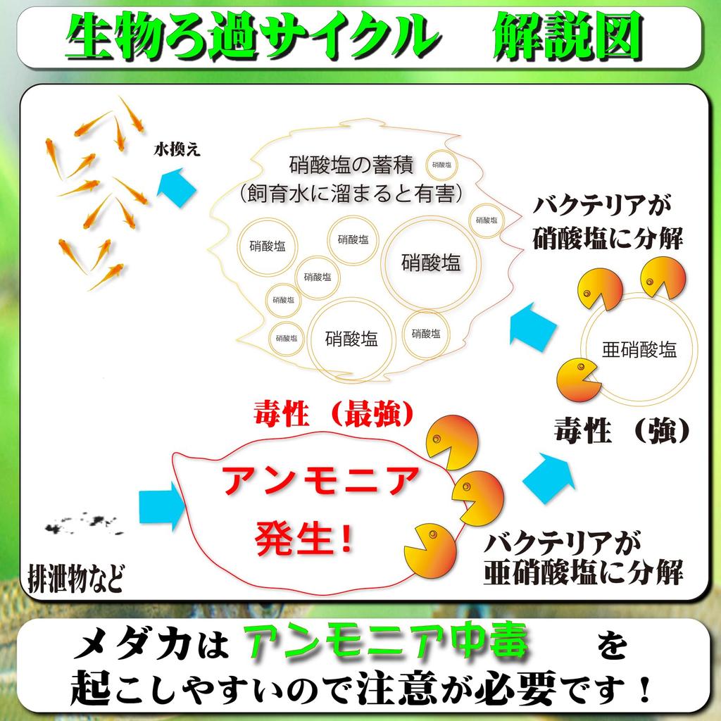 Honpo Medaka Water Quality Test Kit Ammonia Plus Water Quality Test Papers for Medaka Medaka Ammonia Medaka Medaka Water Quality Ammonia Water Medaka