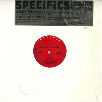 12inch Record DENIECE WILLIAMS - Free  It S Important To Me 2310513 COLUMBIA 1999 US Soul/Funk Used