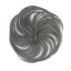 Gray Hair Concealment Type Natural Gray Hair