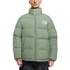 The North Face Down Jacket Unisex Green NJ1DP77C