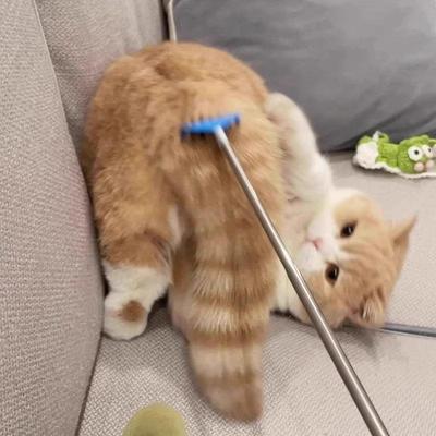 Populaire Intrekbare Kattenhengel: Interactief Zelfspel Krab- en Massagespeelgoed