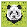 Kit peinture par numéros - Panda - 30 x 30 cm - Acrylique - Pour enfants - Mixte