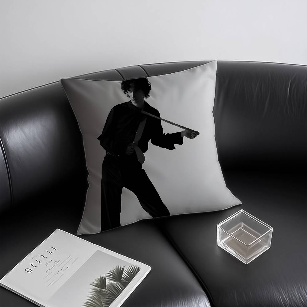 Singer S-som-brs Pillow Case Anti-dustmite Invisible zipper Sofa Bed