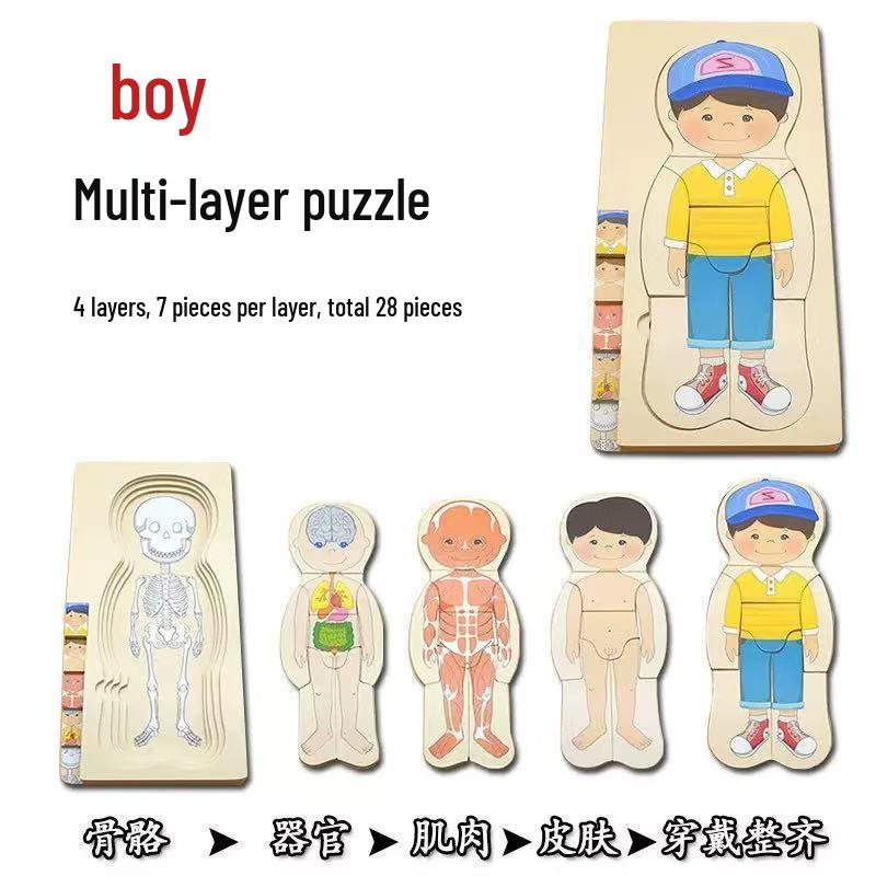 Holz Anatomie Puzzle: Kleinkind-Lernspielzeug zur Selbstwahrnehmung und zum naturwissenschaftlichen Lernen