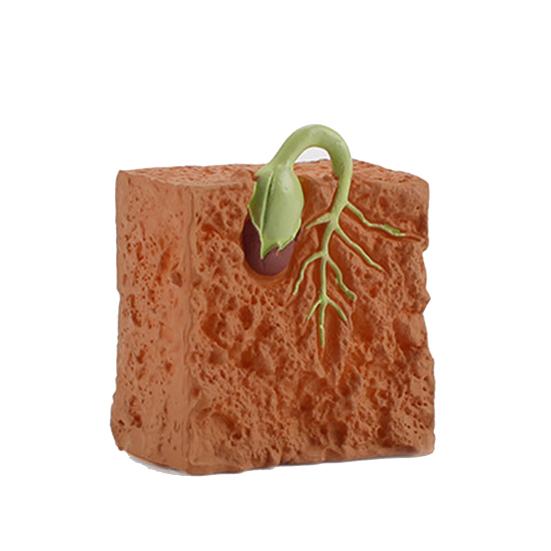 4Pcs Plants Grown Toy Simulation Educational PVC Plant Growth Cycle Model for Home