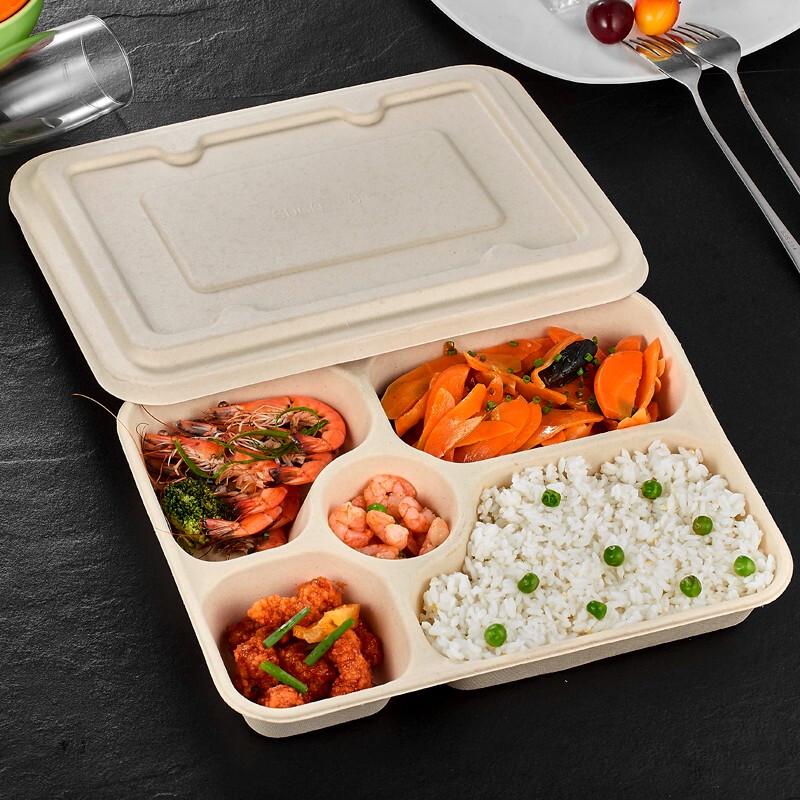 BaiChufang 5-Compartment Biodegradable Takeaway Lunch Boxes