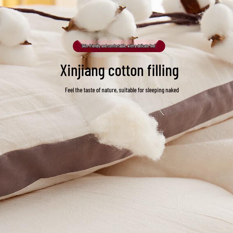 MUJI 100% Xinjiang Cotton Winter Quilt