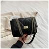 Fashion Temperament Chain Small Bag Women's 2025 New Explosive Versatile Crossbody Bag Popular Foreign Style Commuter Shoulder Bag