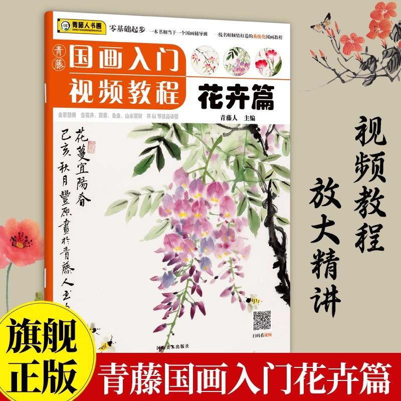 Qingteng Bok Kinesisk Målning Introduktion Videokurs Blomsteravsnitt Nollbaserad Kopiering Konst Träning Lärobok