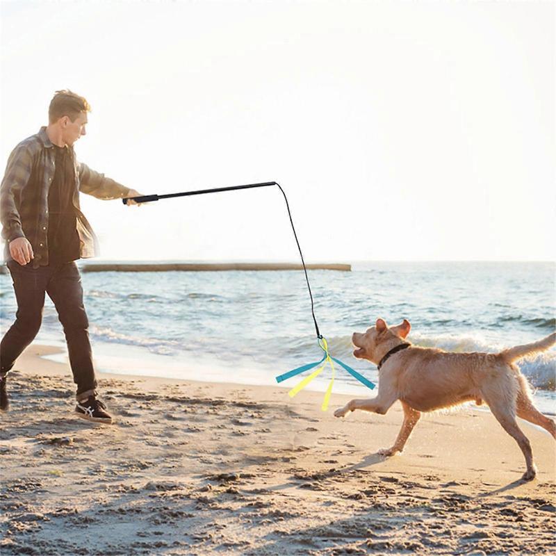 Dog Flirt Poles Toy Flirt Poles Chewing Training Toy for Dog Aggressive Chewer Teeth Clean Exercise Rope Interaction Toy Multicolor