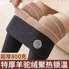 Winter Velvet Thickened Thermal Cotton Pants Large Size Women Wear High Waist Extra Thick 0 Grams Camel Wool Leggings