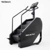 Tezewa Electric Stair Climber