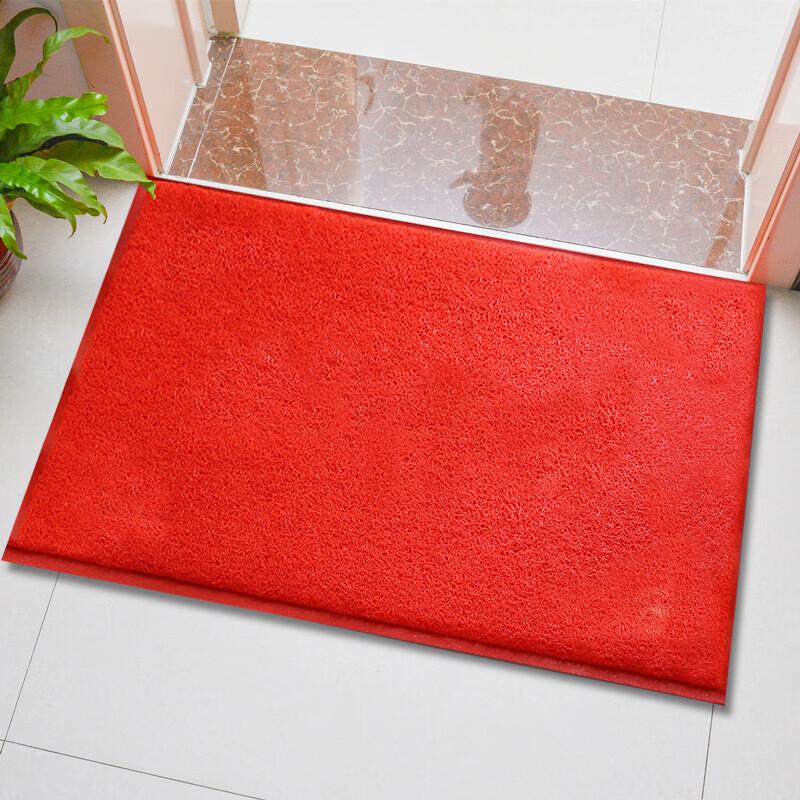 Extra-Thick Anti-Slip Entrance Doormat