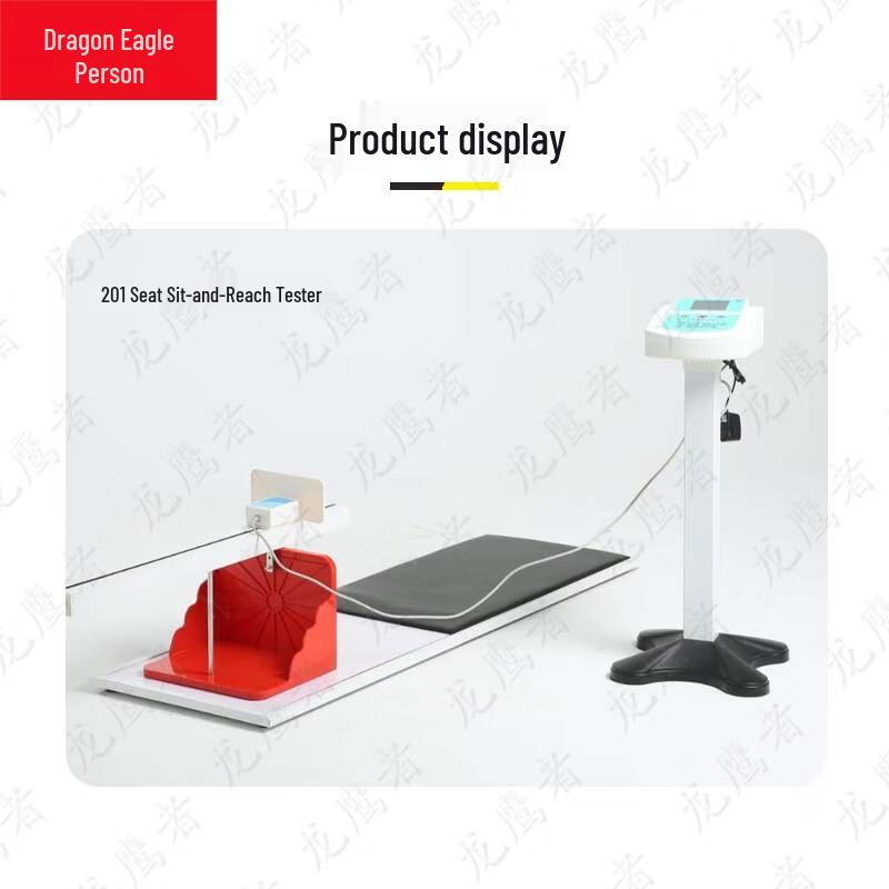 Longyingzhe Intelligent Student Physical Fitness Testing Equipment