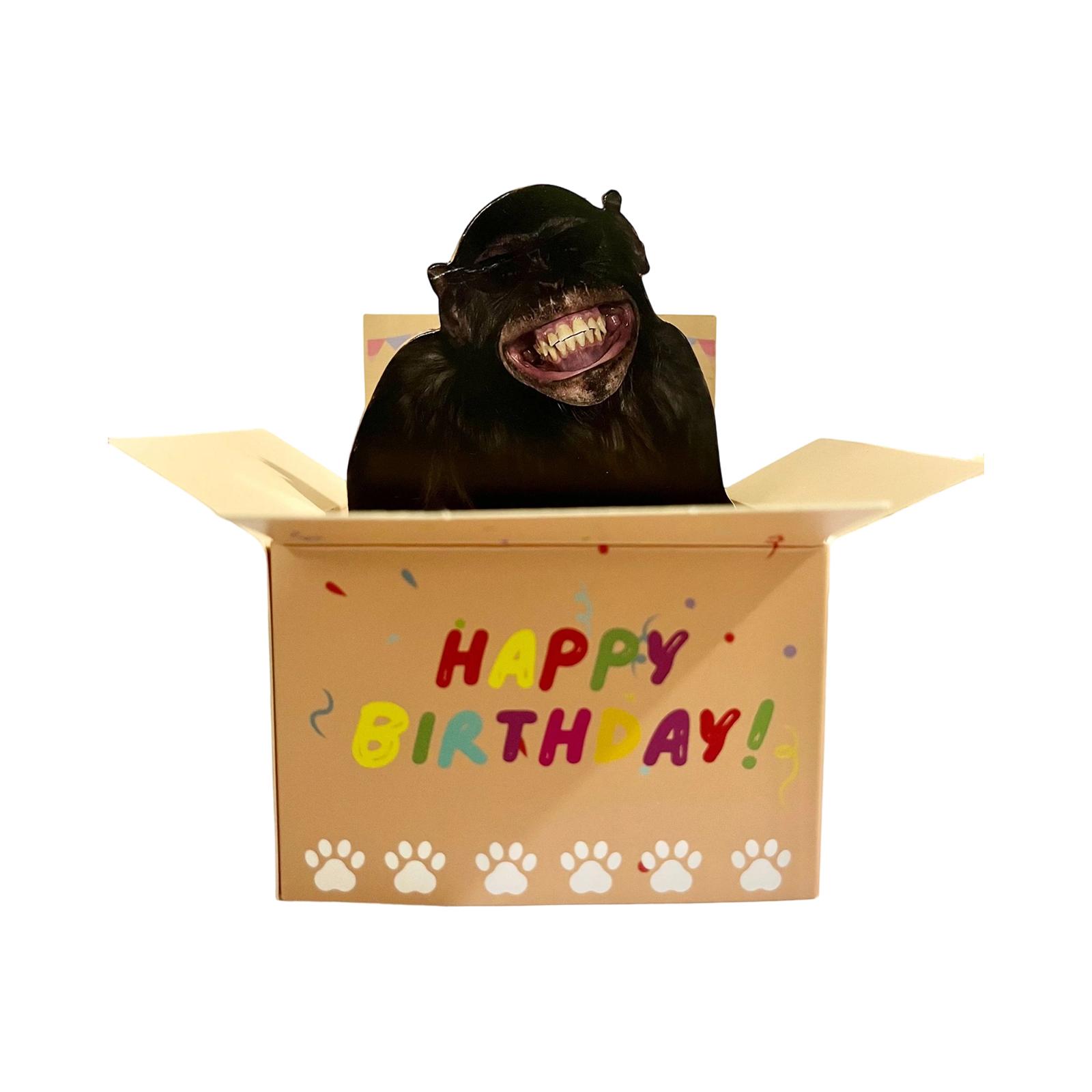 

3D Three-dimensional Greeting Card -up Creative Birthday Card Birthday Party To Surprise Friends One Size